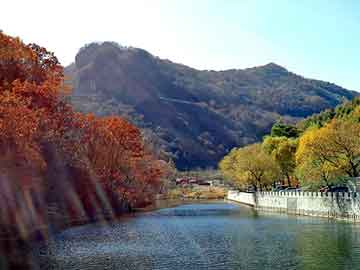 澳门二四六天天免费好材料，攀岩板